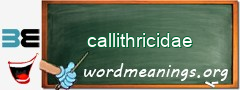 WordMeaning blackboard for callithricidae